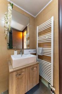 海若克利欧MegaLuxe Apartment的一间带水槽和镜子的浴室