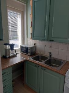 波里Kiertokatu apartment的厨房配有绿色橱柜、水槽和微波炉