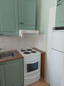 波里Kiertokatu apartment的厨房配有白色炉灶和水槽