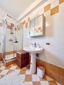 班约勒Boho Bliss Apartment Istria的一间带水槽和淋浴的浴室