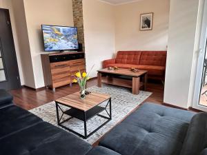 格利维采Apartament Dąbrowskiego - Gliwice的带沙发和电视的客厅