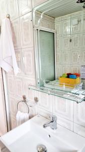 戈里察Liora's Place的一间带水槽和镜子的浴室