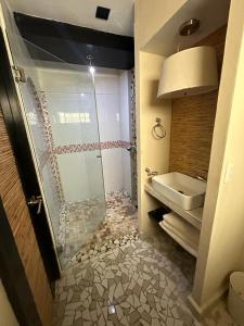 阿卡普尔科Isla cuba的带淋浴和盥洗盆的浴室