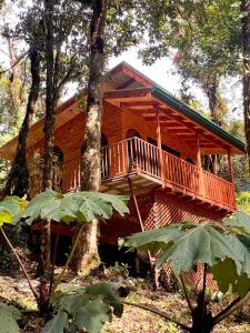 圣何塞Cabaña Anturios的树林中带阳台的木屋
