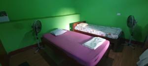 里瓦斯Hostal Maria的绿色客房 - 带2张床和2台风扇