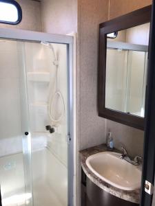 MiddletonOrchard Queen Motel & Rv Park的浴室配有盥洗盆和带镜子的淋浴