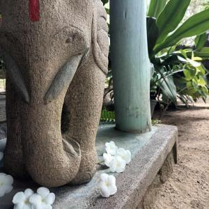 阿鲁甘湾The Jungle House的站在白色花朵旁的大象雕像