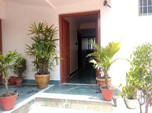 加德满都Janaki House的盆栽植物屋的前门
