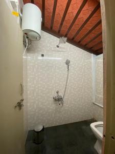 班加罗尔Art House- Air conditioned luxury service Apartments的浴室配有卫生间和墙上的灯。