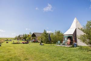 西泰尔斯海灵Boerderij Halfweg的田野里的一个帐篷,人们坐在草地上