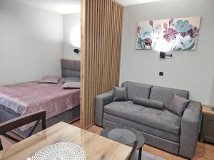 布尔泽策Apartman "PUZZLE" Bela Reka, Brzeće的一间卧室配有一张床、一张沙发和一张桌子