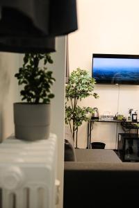 都灵BeTurin的客厅配有两株盆栽植物和电视