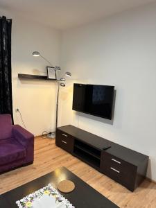 别尔斯克-比亚拉Nowy Apartament z jacuzzi w Bielsku-Białej的客厅设有壁挂式平面电视。