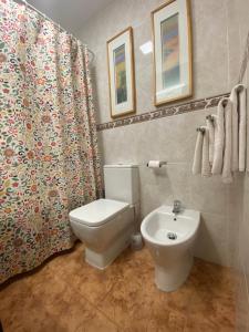 科尔多瓦COSTASOL CORDOBA - Apartamento moderno - céntrico的一间带卫生间和水槽的浴室