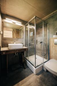 阿布劳哈姆海吉Ábrahám Cabin House的一间带玻璃淋浴和水槽的浴室