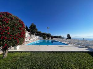 GastouriBrentanos Apartments - A - View of Paradise的一座游泳池,旁边是一棵开花的树