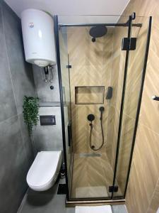 尼什四室公寓的带淋浴、卫生间和盥洗盆的浴室