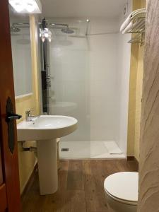 贝纳斯克Hotel Vallibierna的一间带水槽、淋浴和卫生间的浴室