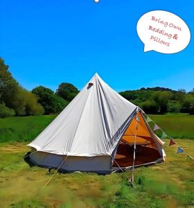 Corfe MullenDorset Glamping Fields的一片带泡泡的帐篷,说自己在治疗和飞机上