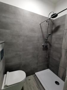 PoniatowaOpaa Motel的一间带卫生间和淋浴的浴室
