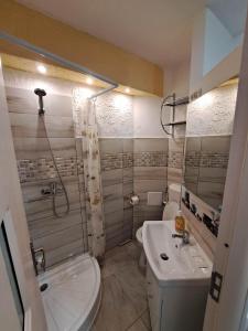 拉姆尼库沃尔恰Dovali apartment的浴室配有卫生间、盥洗盆和淋浴。