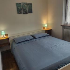 瓦尔迪佐多Casa San Valentino Dolomiti Val di Zoldo的一间卧室配有一张带蓝色枕头的大床