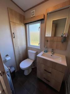 古德瑞同3 bed luxury lodge at Hoburne Devon Bay的一间带卫生间和水槽的小浴室