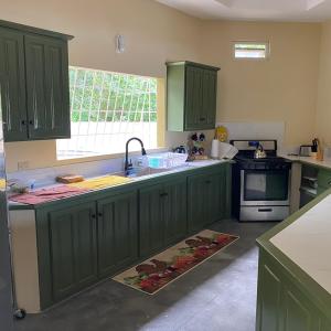 BlanchisseuseEasy Breezy的厨房配有绿色橱柜和水槽