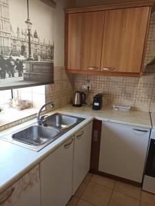埃费奥纳斯Ventus的一间带水槽和洗碗机的小厨房