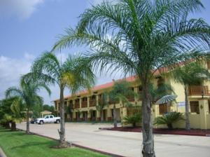 阿尔文阿尔文/休斯顿美国最佳价值旅馆及套房的一座楼前有棕榈树的酒店