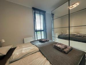 比得哥什Apartament Centrum II的一间卧室配有一张大床和大镜子