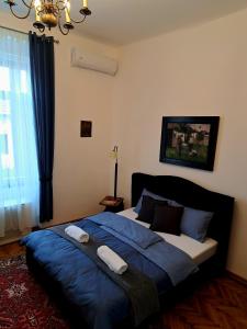 卡雷Weisz Apartment-City Center-Free Private Parking,Wifi,AC的一间卧室配有一张带蓝色床单的床和一扇窗户。