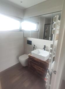 Mount VernonSingle bedroom in quiet neighbourhood的一间带卫生间、水槽和镜子的浴室