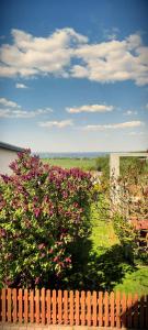 维斯马Ferienhaus in der Hansestadt mit Blick auf Ostsee的木栅栏后面的灌木丛,花粉红色