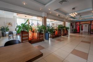 莱斯科斯泽尔考酒店的一间设有桌子和盆栽植物的餐厅