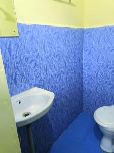 科尔瓦Colva Beach Samaira GuestHouse & Apartments的蓝色的浴室设有水槽和卫生间