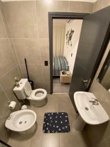 门多萨Luxury Apartments的一间带卫生间和水槽的浴室
