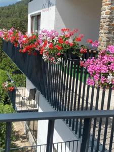RoppenPension Alpina的阳台上的栏杆上放着一大束鲜花
