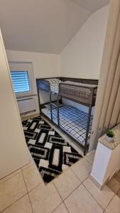 维尼察SUN RIVER KOLPA Zala的配有2张双层床的宿舍间设有地毯。