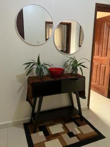 金贾Ahva I Residence的一张桌子,上面有两面镜子,上面有两株植物