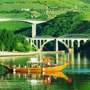 比索达雷加Casa do Trovão - Douro的桥前水面上的黄色船