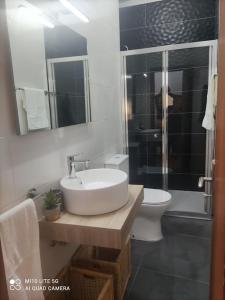 比索达雷加Casa do Trovão - Douro的一间带水槽、卫生间和淋浴的浴室