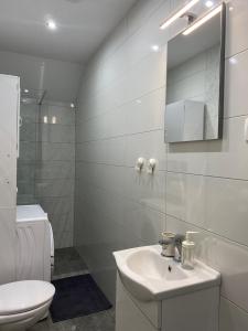 波斯托伊纳Apartma Azurre的白色的浴室设有水槽和卫生间。