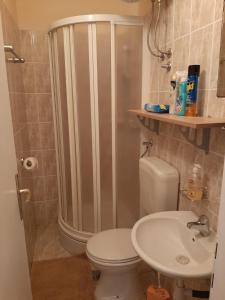 沃迪切Apartman-Kuzminski-Kraje14的带淋浴、卫生间和盥洗盆的浴室