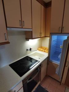兹雷切Pocket apartment Rogla - Gaber 121的小厨房配有炉灶和水槽