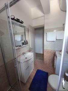 卡尔帕索斯Annissa Appartment的带淋浴、盥洗盆和卫生间的浴室