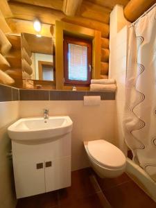 恰德察Zrub Kaška的一间带水槽、卫生间和镜子的浴室