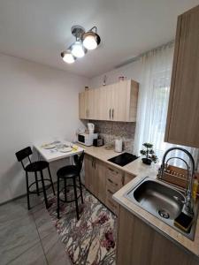 拉姆尼库沃尔恰Dovali apartment的厨房配有水槽和桌椅