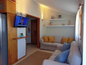 托雷拉Moliceiros Torreira的带沙发和平面电视的客厅