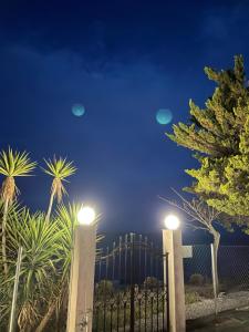 Loutrá ElevtherónHoliday Home Sea Front的棕榈树和灯的夜间门